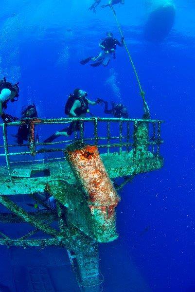 Captain Hook's DIVE KEY WEST - Image 3