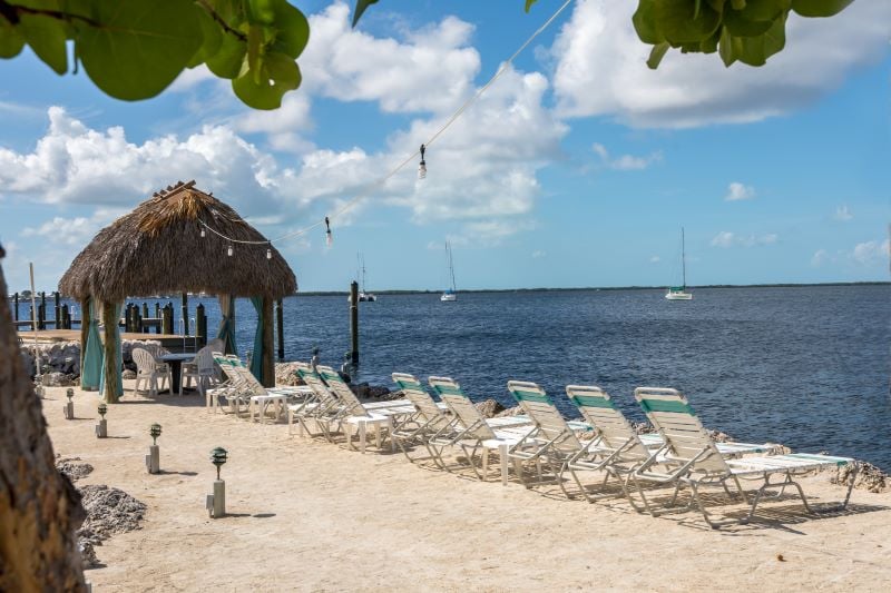 Amoray DIVE resort - Image 3