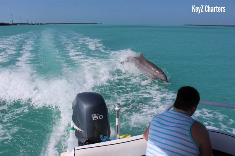KEYZ charters - Image 2