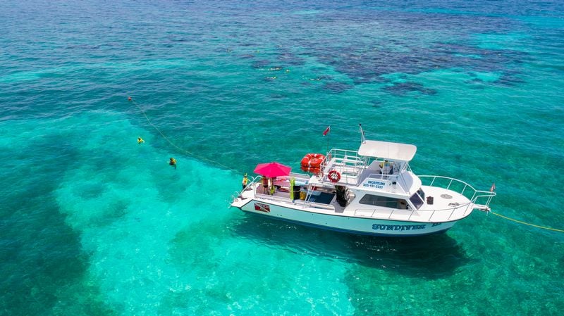 Sundiver snorkel tours - Image 1