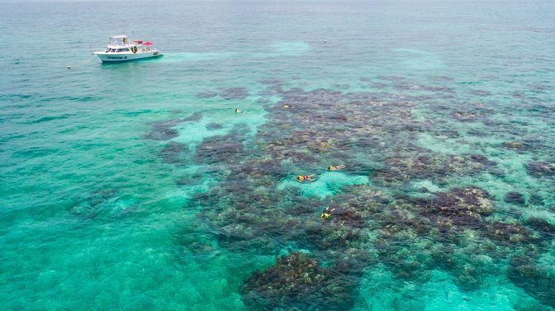 Sundiver snorkel tours - Image 3