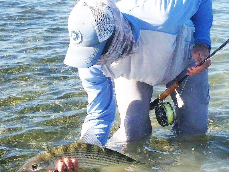 KEY WEST flats & backcountry fishing - Image 3