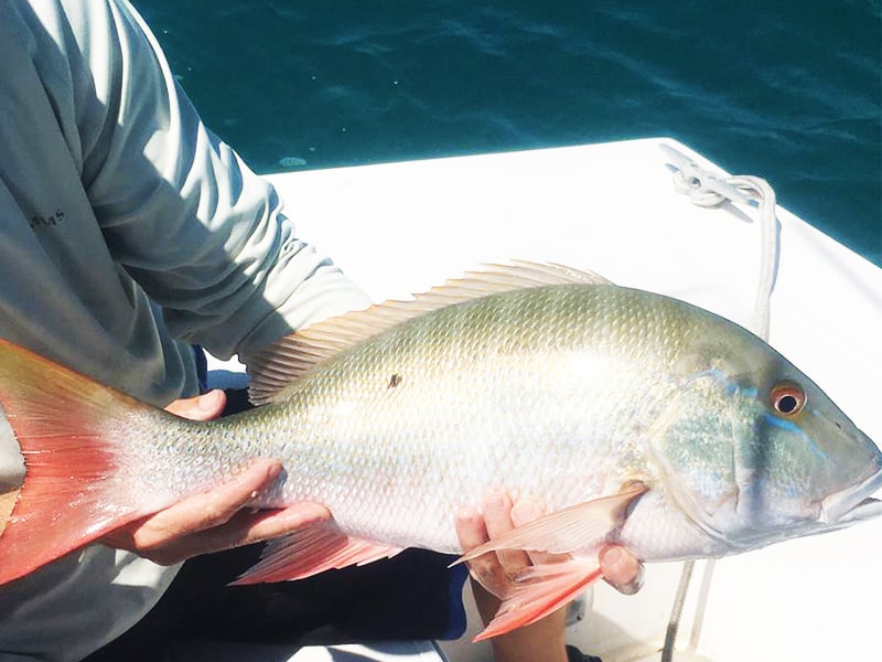 KEY WEST flats & backcountry fishing - Image 4