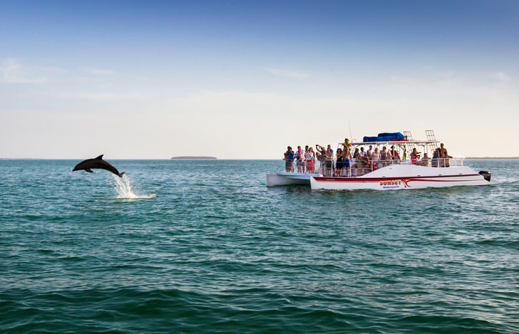Sunset watersports - Image 1