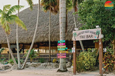 LOOE KEY REEF resort & DIVE center - Image 4