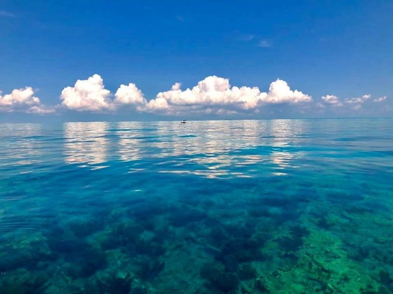 Captain Hook's Big Pine Key - Image 4
