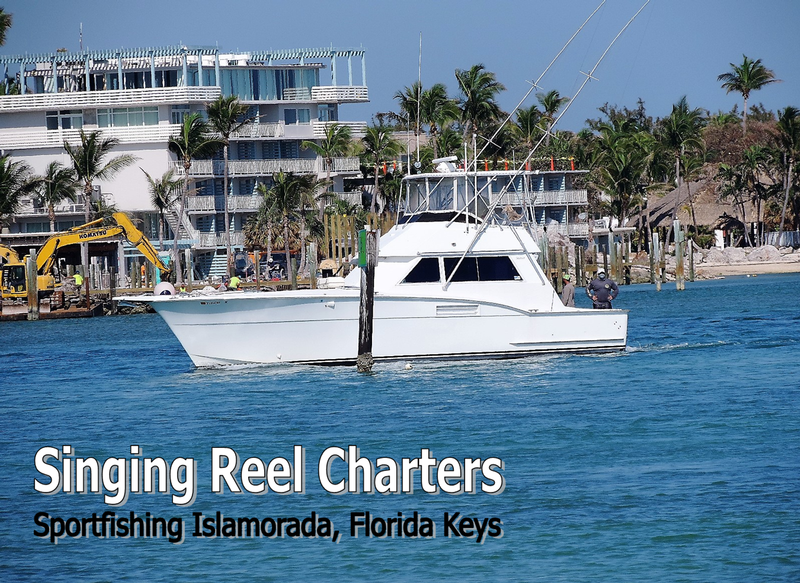 Singing REEL charters - Image 1
