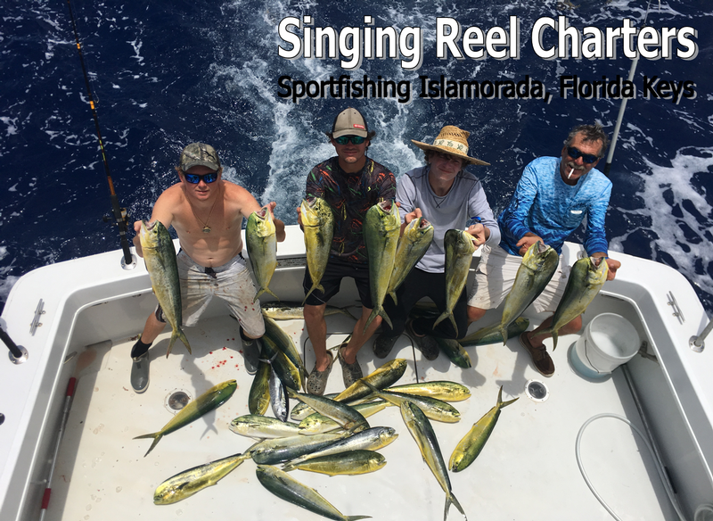 Singing REEL charters - Image 2