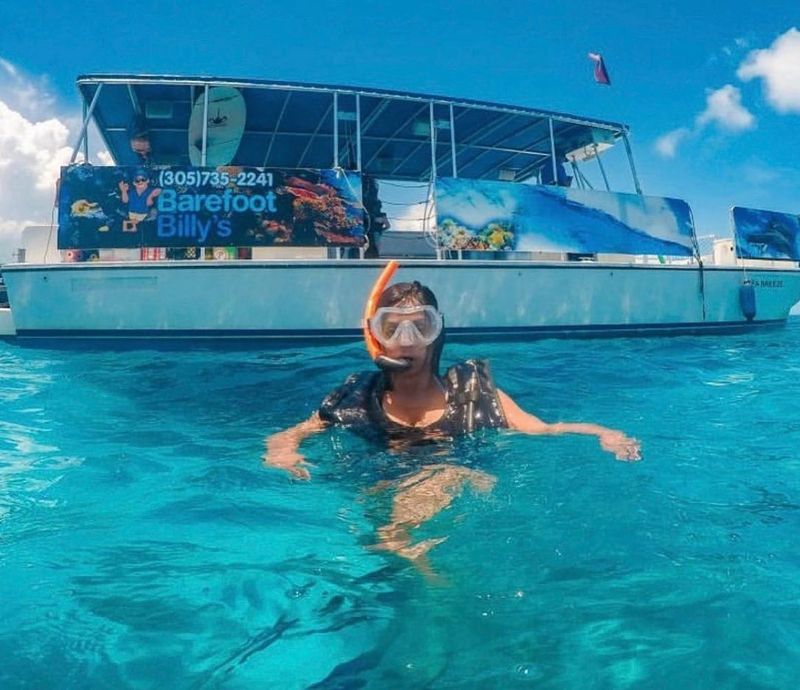 Barefoot Billy's dolphin & snorkel - Image 4