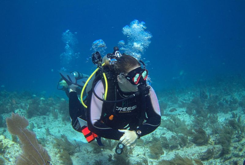 Florida keys DIVE center - Image 1