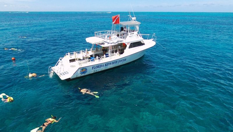 Florida keys DIVE center - Image 3