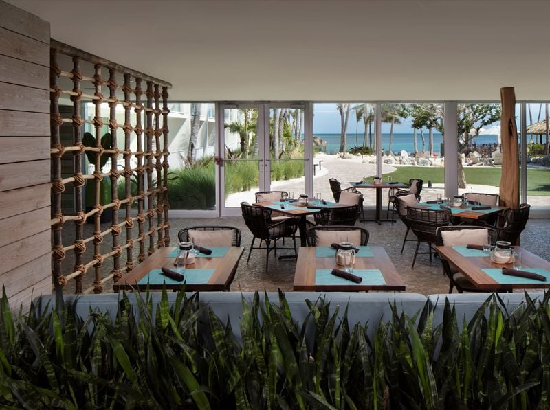 Reel Catch at Amara Cay Resort - Image 1