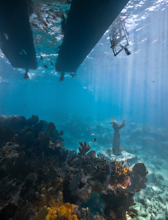 Silent World Dive Center - Image 3