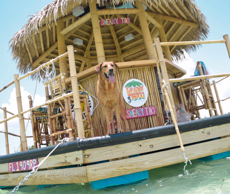 Cruisin' tikis KEY WEST - Image 1