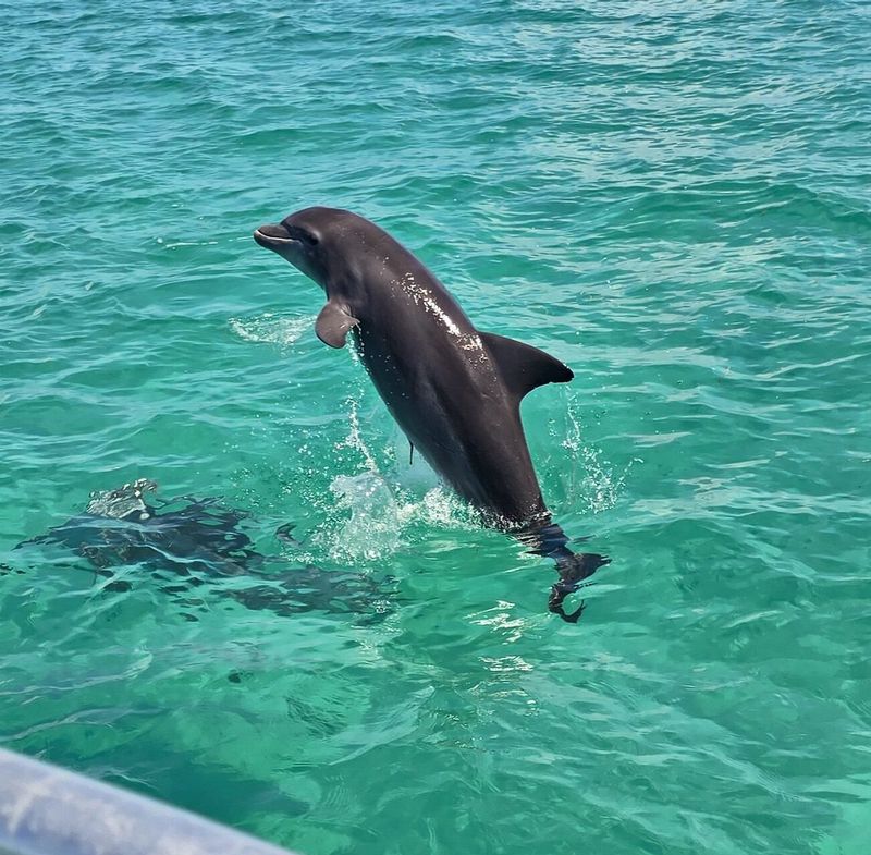 KEY WEST extreme adventures - Image 2