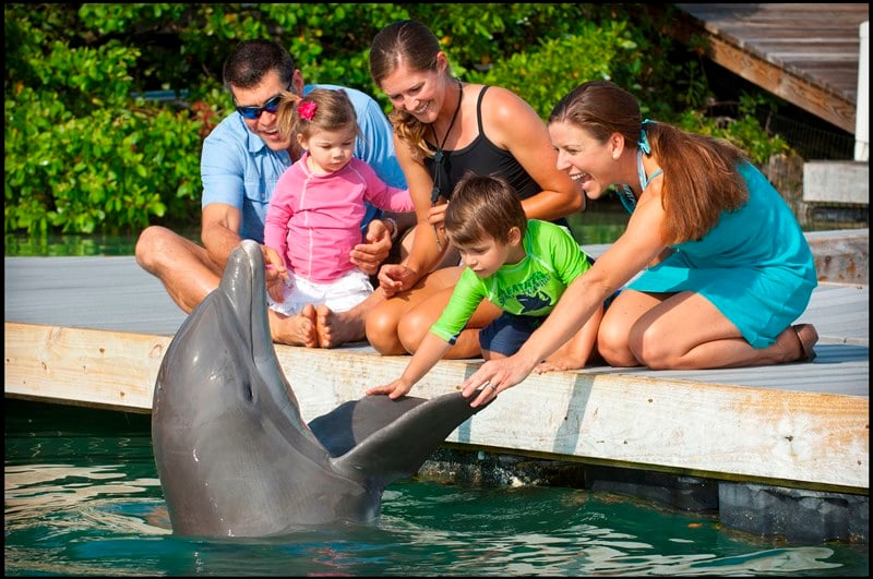 Hawks CAY resort, spa & marina - Image 4