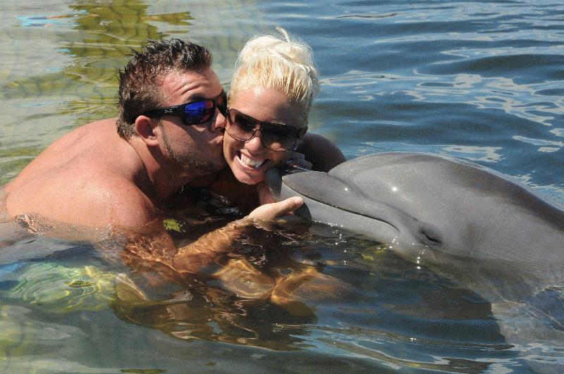 Dolphin research center - Image 2