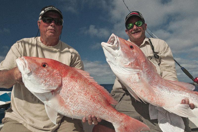 Wreck AND REEF fishing dream catcher charters - Image 3