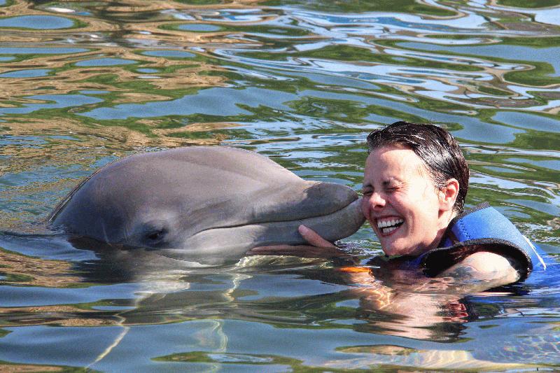 Dolphins PLUS - Image 1