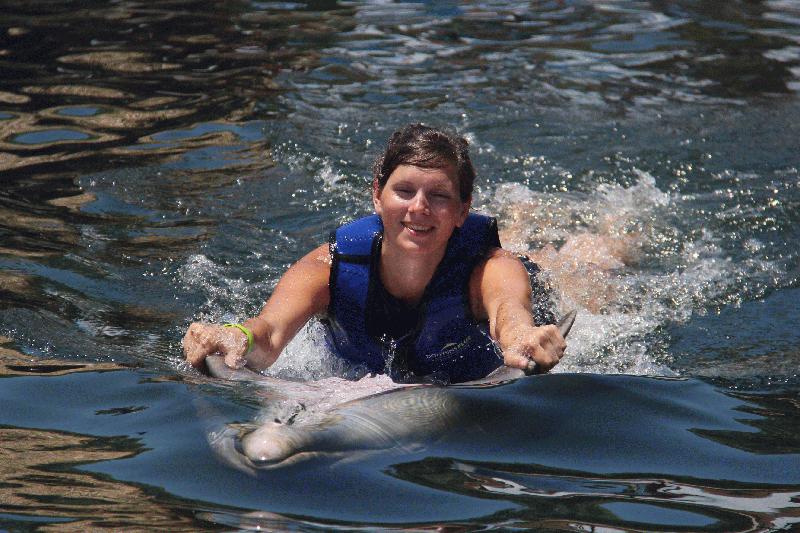 Dolphins PLUS - Image 3