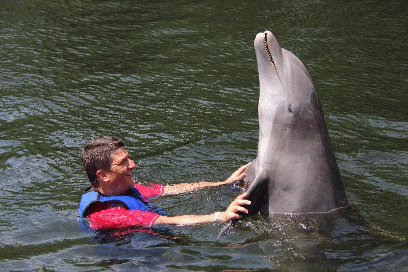 Dolphins PLUS - Image 4