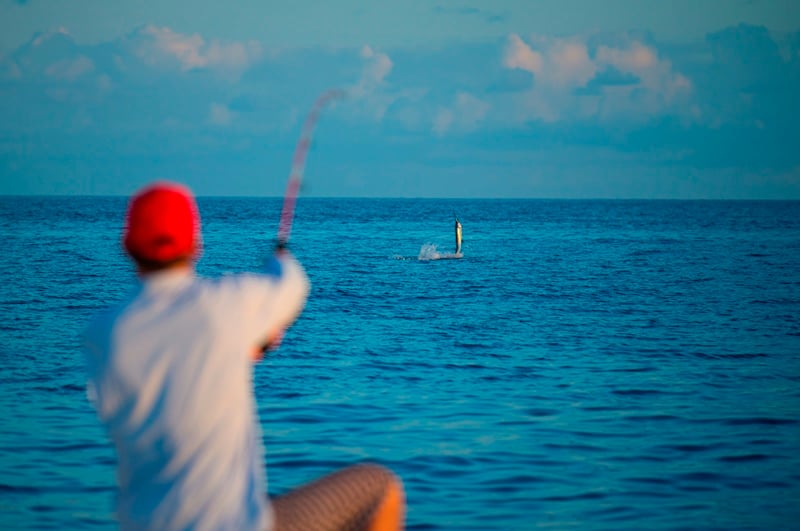 Hawks CAY resort, spa & marina - Image 4