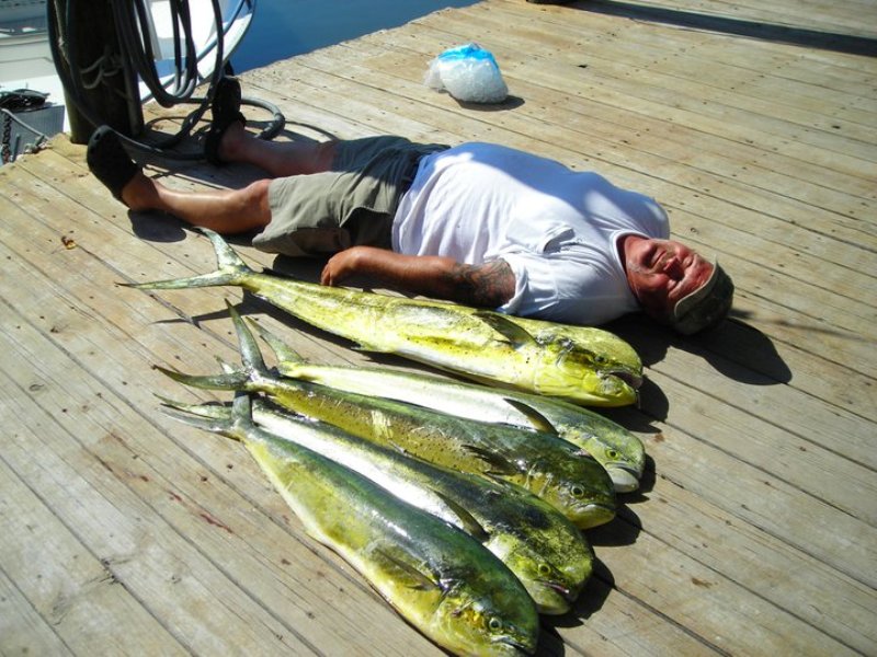 Johnny maddox fishing charters ~ sportfishing adventures - Image 1