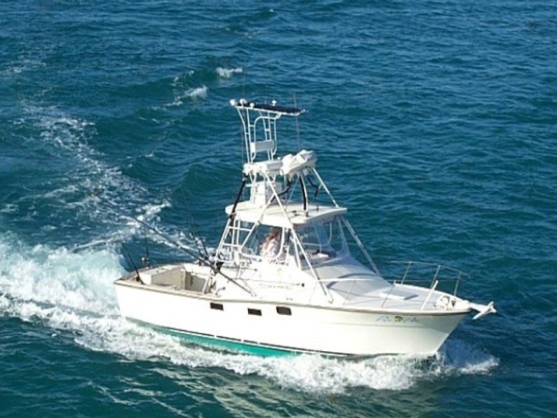 Johnny maddox fishing charters ~ sportfishing adventures - Image 4