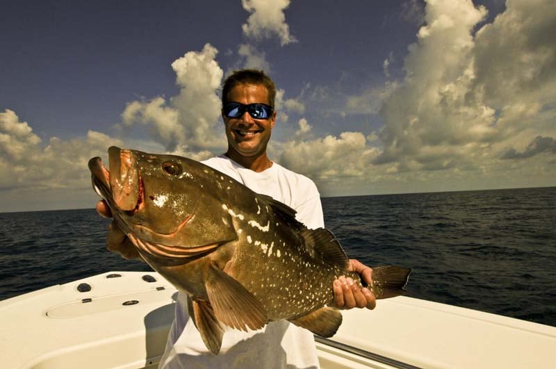 Wreck AND REEF fishing dream catcher charters - Image 4