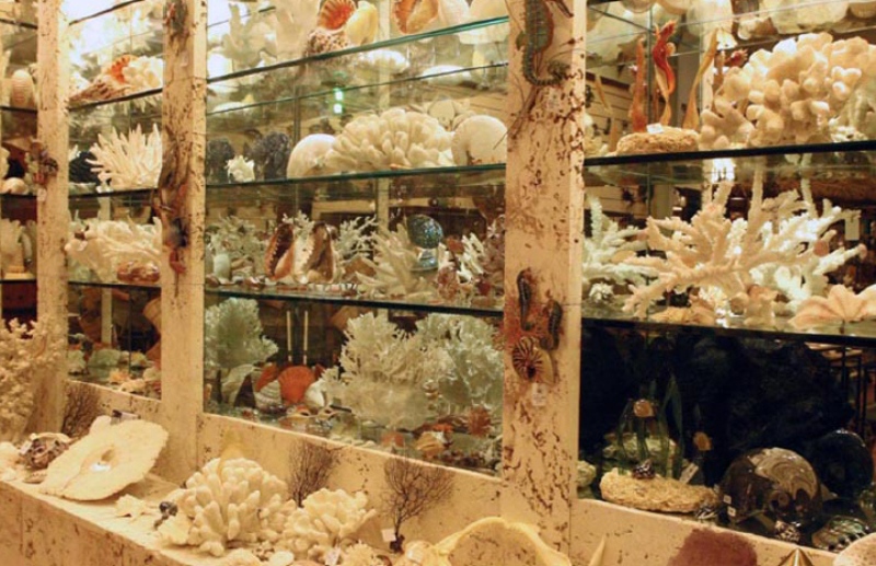 Ocean gardens AND gifts - Image 3