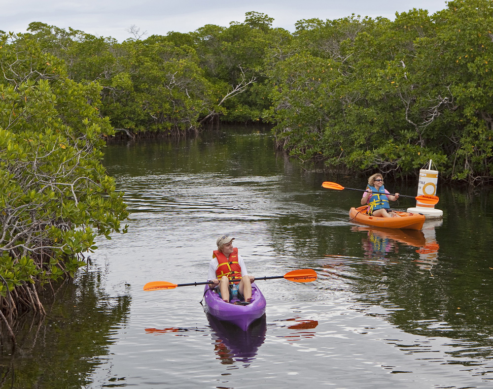 Pennekamp Park kayakers Key Largo