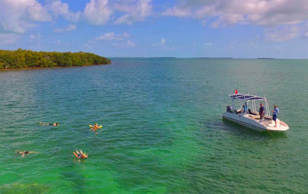 snorkelers off Islamorada
