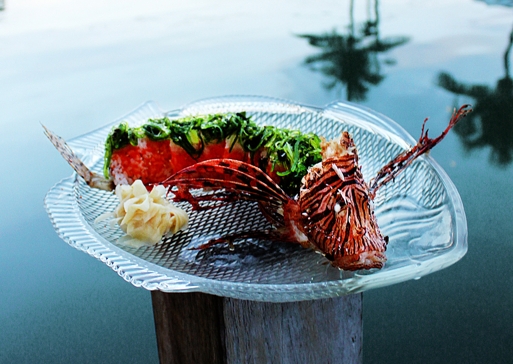 Marathon Castaway Restaurant lionfish sushi