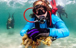 Autumn Blum diving