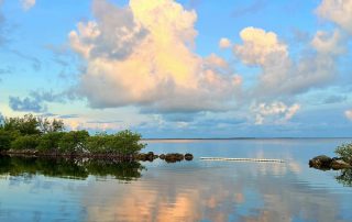 Sunrise Florida Bay Florida Keys