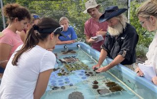 Coral restoration Florida Keys Dave Vaughan