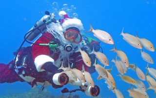 Santa Claus underwater Florida Keys