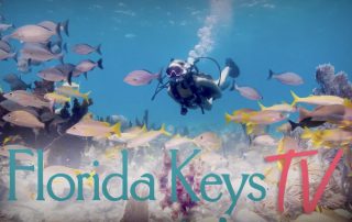 FloridaKeysTV logo