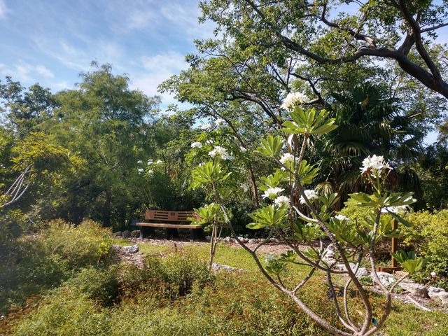 Key West Tropical Forest and Botanical Garden.
