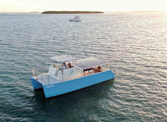 Litmer designed, built and launched key west’s first lithium-ion battery-powered hybrid charter boat, squid, with electric motors.(photo courtesy of vineyard vines)