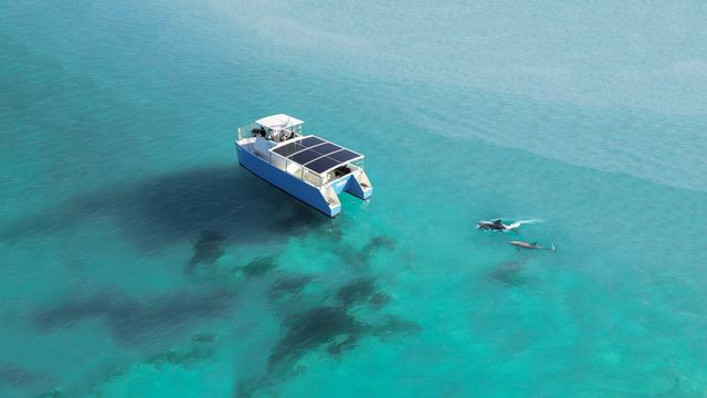 Honest Eco's squid is a custom lithium-ion hybrid electric charter boat that is perfect for snorkeling and dolphin watching. Photo: Honest eco