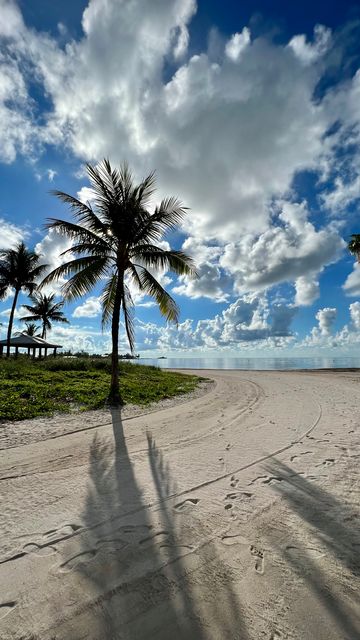Find sandy, peaceful Sombrero Beach Park at the end of Sombrero Beach Boulevard. 