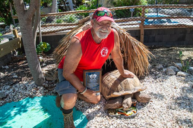 Rodriguez with ziggy, the larger of two african spurred tortoises adopted by the DRC when their owners could no longer care for them.