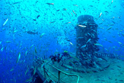 Diver Jaclyn Skafas swims above one of the parabolic tracking dishes. Photos by Stephen Frink. 