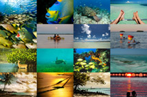 Explore Our Photo Gallery