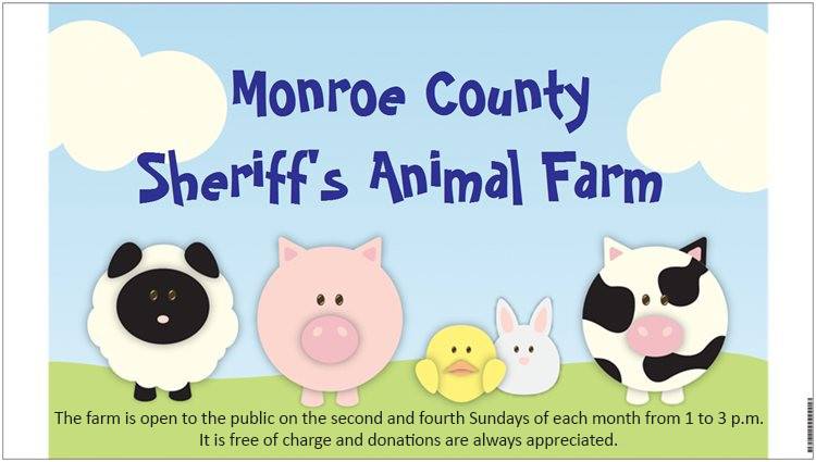 The Monroe County Sheriff's Office Animal Farm