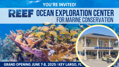 Grand Opening - REEF Ocean Exploration Center for Marine Conservation