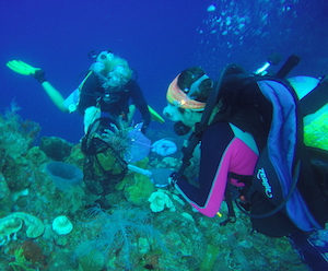 underwater scientist Florida Keys