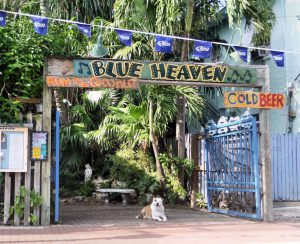 Blue Heaven restaurant Key West