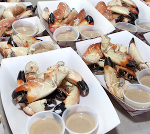 Florida Keys stone crab